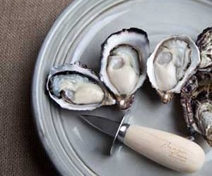 Bangor Wine & Oyster Shed
